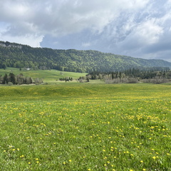 23-05-21 16-51-13 5532